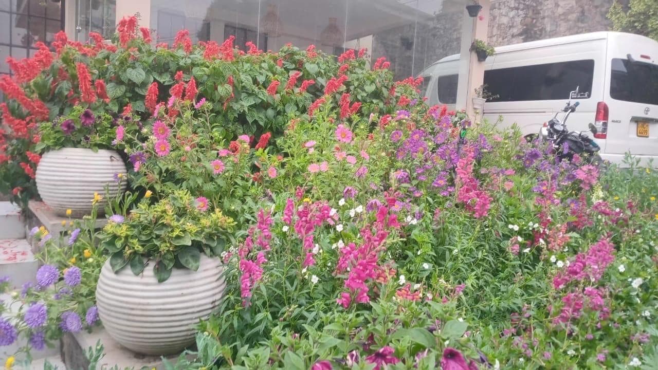 Nuwara Eliya town centre — near Clover Cottage