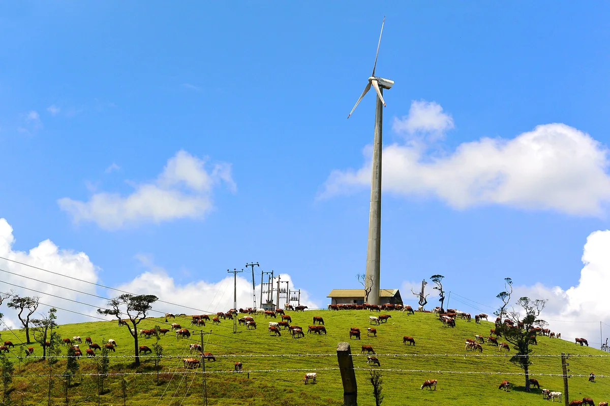 Ambewela Farm ('Little New Zealand')